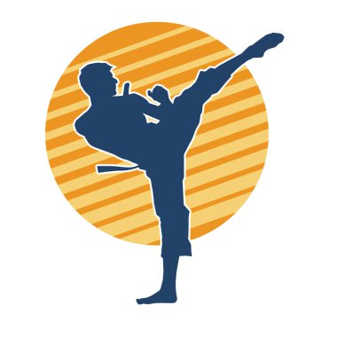 Dövüş sanatları tekmesi pozu veren bir erkek modelin silueti. Dövüş sanatlarının silueti..