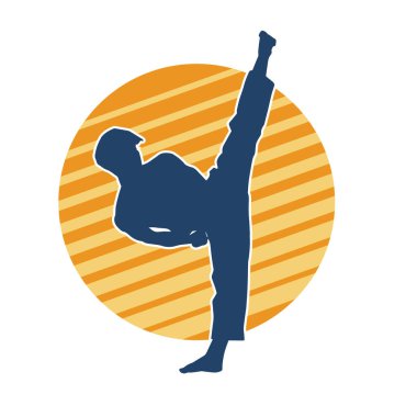 Dövüş sanatları tekmesi pozu veren bir erkek modelin silueti. Dövüş sanatlarının silueti..