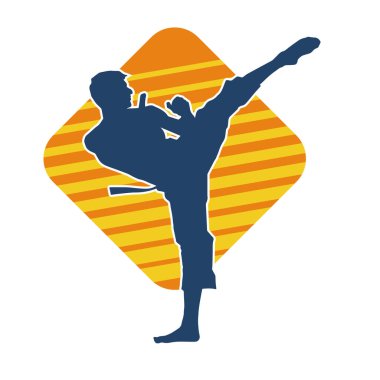 Dövüş sanatları tekmesi pozu veren bir erkek modelin silueti. Dövüş sanatlarının silueti..