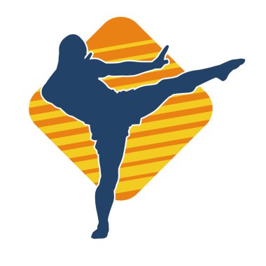 Dövüş sanatları tekmesi pozu veren bir erkek modelin silueti. Dövüş sanatlarının silueti..