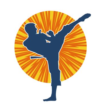 Dövüş sanatları tekmesi pozu veren bir erkek modelin silueti. Dövüş sanatlarının silueti..