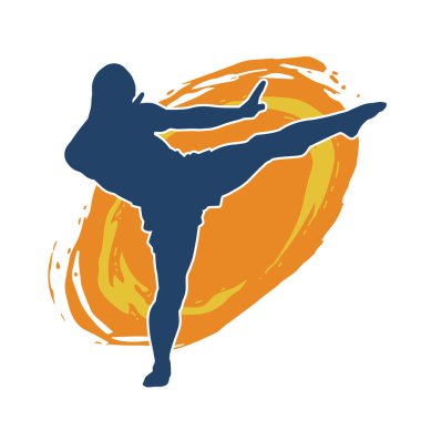 Dövüş sanatları tekmesi pozu veren bir erkek modelin silueti. Dövüş sanatlarının silueti..