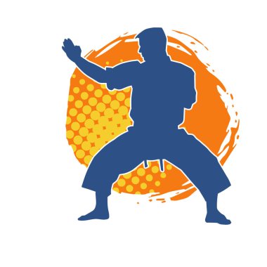 Doğu dövüş sanatı pozu veren bir adamın silueti. Dövüş sanatlarında bir erkeğin silueti..