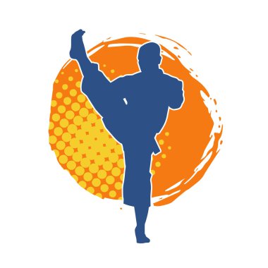 Dövüş sanatları pozu veren bir erkeğin silueti. Dövüş sanatları ustasının silueti tekme atma pozu veriyor..