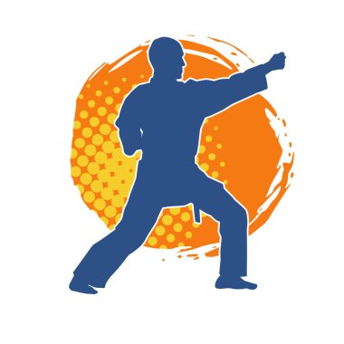 Doğu dövüş sanatı pozu veren bir adamın silueti. Dövüş sanatlarında bir erkeğin silueti..