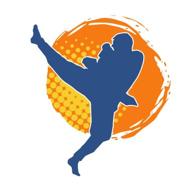 Dövüş sanatları pozu veren bir erkeğin silueti. Dövüş sanatları ustasının silueti tekme atma pozu veriyor..