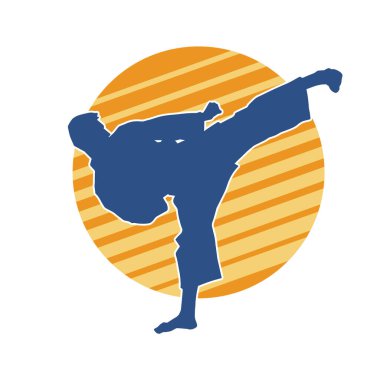 Dövüş sanatları pozu veren bir erkeğin silueti. Dövüş sanatları ustasının silueti tekme atma pozu veriyor..