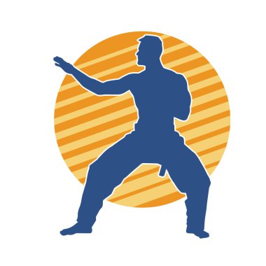 Doğu dövüş sanatı pozu veren bir adamın silueti. Dövüş sanatlarında bir erkeğin silueti..