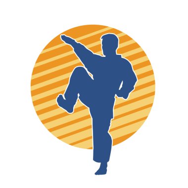 Doğu dövüş sanatı pozu veren bir adamın silueti. Dövüş sanatlarında bir erkeğin silueti..