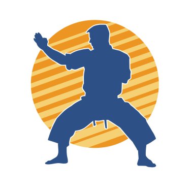 Doğu dövüş sanatı pozu veren bir adamın silueti. Dövüş sanatlarında bir erkeğin silueti..