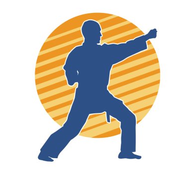 Doğu dövüş sanatı pozu veren bir adamın silueti. Dövüş sanatlarında bir erkeğin silueti..