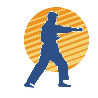 Doğu dövüş sanatı pozu veren bir adamın silueti. Dövüş sanatlarında bir erkeğin silueti..