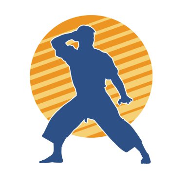 Doğu dövüş sanatı pozu veren bir adamın silueti. Dövüş sanatlarında bir erkeğin silueti..