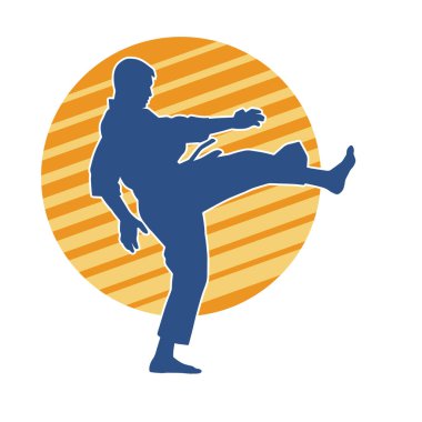 Dövüş sanatları pozu veren bir erkeğin silueti. Dövüş sanatları ustasının silueti tekme atma pozu veriyor..