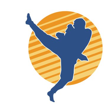 Dövüş sanatları pozu veren bir erkeğin silueti. Dövüş sanatları ustasının silueti tekme atma pozu veriyor..