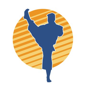 Doğu dövüş sanatı pozu veren bir adamın silueti. Dövüş sanatlarında bir erkeğin silueti..