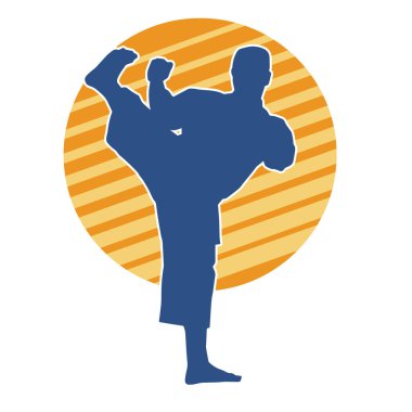 Dövüş sanatları pozu veren bir erkeğin silueti. Dövüş sanatları ustasının silueti tekme atma pozu veriyor..