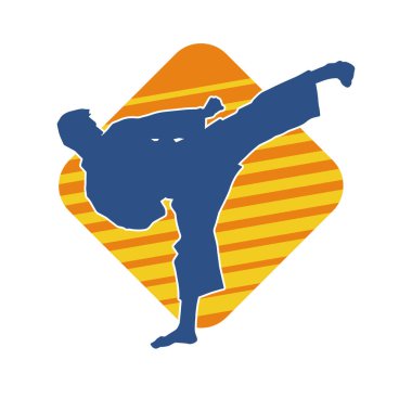 Dövüş sanatları pozu veren bir erkeğin silueti. Dövüş sanatları ustasının silueti tekme atma pozu veriyor..