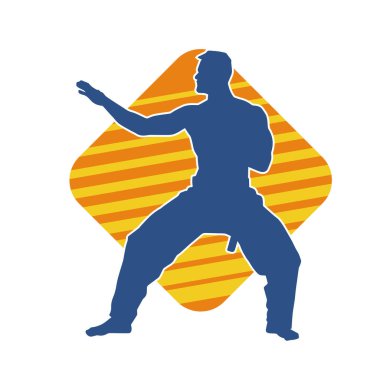 Doğu dövüş sanatı pozu veren bir adamın silueti. Dövüş sanatlarında bir erkeğin silueti..