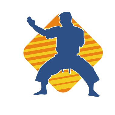 Doğu dövüş sanatı pozu veren bir adamın silueti. Dövüş sanatlarında bir erkeğin silueti..