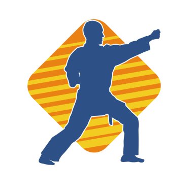 Doğu dövüş sanatı pozu veren bir adamın silueti. Dövüş sanatlarında bir erkeğin silueti..