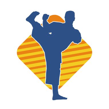 Dövüş sanatları pozu veren bir erkeğin silueti. Dövüş sanatları ustasının silueti tekme atma pozu veriyor..