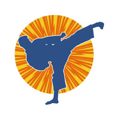 Dövüş sanatları pozu veren bir erkeğin silueti. Dövüş sanatları ustasının silueti tekme atma pozu veriyor..