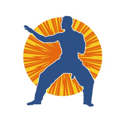 Doğu dövüş sanatı pozu veren bir adamın silueti. Dövüş sanatlarında bir erkeğin silueti..