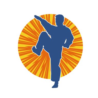 Doğu dövüş sanatı pozu veren bir adamın silueti. Dövüş sanatlarında bir erkeğin silueti..