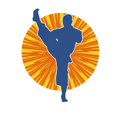 Dövüş sanatları pozu veren bir erkeğin silueti. Dövüş sanatları ustasının silueti tekme atma pozu veriyor..