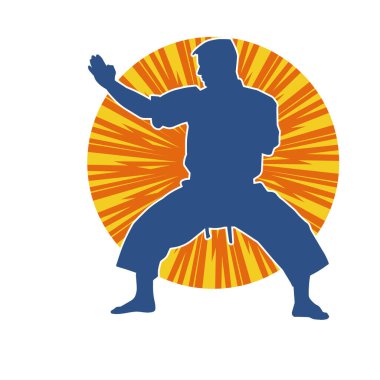 Doğu dövüş sanatı pozu veren bir adamın silueti. Dövüş sanatlarında bir erkeğin silueti..