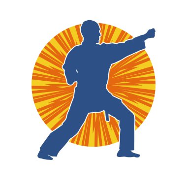 Doğu dövüş sanatı pozu veren bir adamın silueti. Dövüş sanatlarında bir erkeğin silueti..