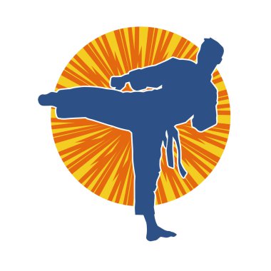 Dövüş sanatları pozu veren bir erkeğin silueti. Dövüş sanatları ustasının silueti tekme atma pozu veriyor..