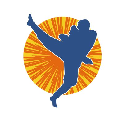 Dövüş sanatları pozu veren bir erkeğin silueti. Dövüş sanatları ustasının silueti tekme atma pozu veriyor..