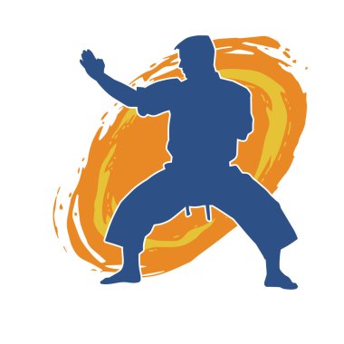 Doğu dövüş sanatı pozu veren bir adamın silueti. Dövüş sanatlarında bir erkeğin silueti..