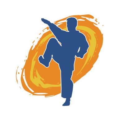 Doğu dövüş sanatı pozu veren bir adamın silueti. Dövüş sanatlarında bir erkeğin silueti..