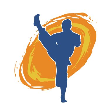 Dövüş sanatları pozu veren bir erkeğin silueti. Dövüş sanatları ustasının silueti tekme atma pozu veriyor..