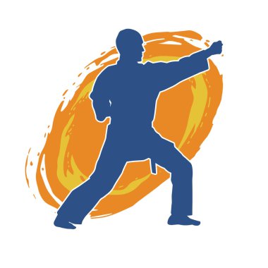 Doğu dövüş sanatı pozu veren bir adamın silueti. Dövüş sanatlarında bir erkeğin silueti..