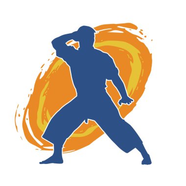 Doğu dövüş sanatı pozu veren bir adamın silueti. Dövüş sanatlarında bir erkeğin silueti..