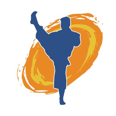 Dövüş sanatları pozu veren bir erkeğin silueti. Dövüş sanatları ustasının silueti tekme atma pozu veriyor..