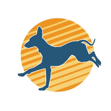 Aktif bir köpek hayvan silueti. 