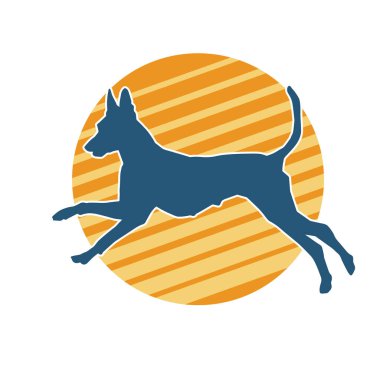 Aktif bir köpek hayvan silueti. 