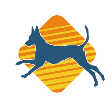 Aktif bir köpek hayvan silueti. 