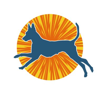 Aktif bir köpek hayvan silueti. 