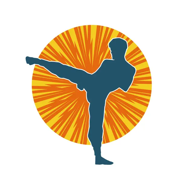 Dövüş sanatları pozu veren bir erkeğin silueti. Dövüş sanatları ustasının silueti tekme atma pozu veriyor..