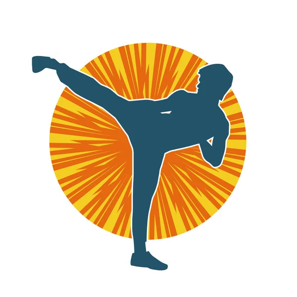 Dövüş sanatları pozu veren bir erkeğin silueti. Dövüş sanatları ustasının silueti tekme atma pozu veriyor..