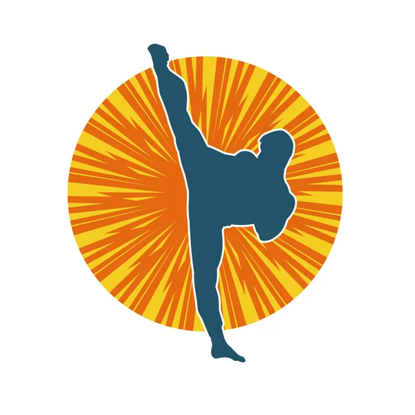 Dövüş sanatları pozu veren bir erkeğin silueti. Dövüş sanatları ustasının silueti tekme atma pozu veriyor..