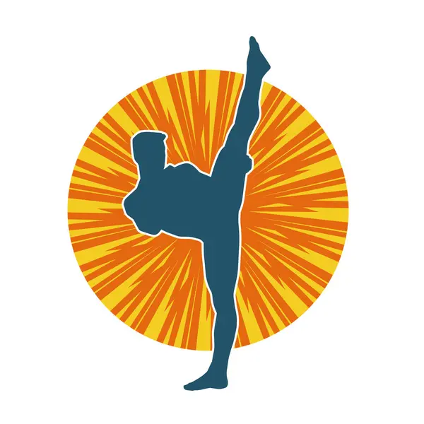 Dövüş sanatları pozu veren bir erkeğin silueti. Dövüş sanatları ustasının silueti tekme atma pozu veriyor..