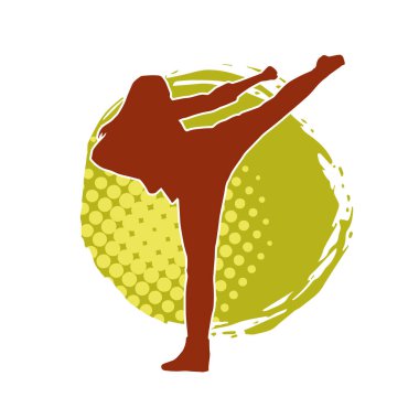 Dövüş sanatları tekmesi atan bir kadının silueti. Sportif bir kadının silueti tekme hareketi yapıyor..