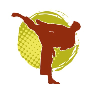 Dövüş sanatları pozu veren bir erkeğin silueti. Dövüş sanatları ustasının silueti tekme atma pozu veriyor..